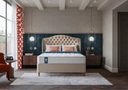 Sealy Regency Hospitality Mattress with Bugshield