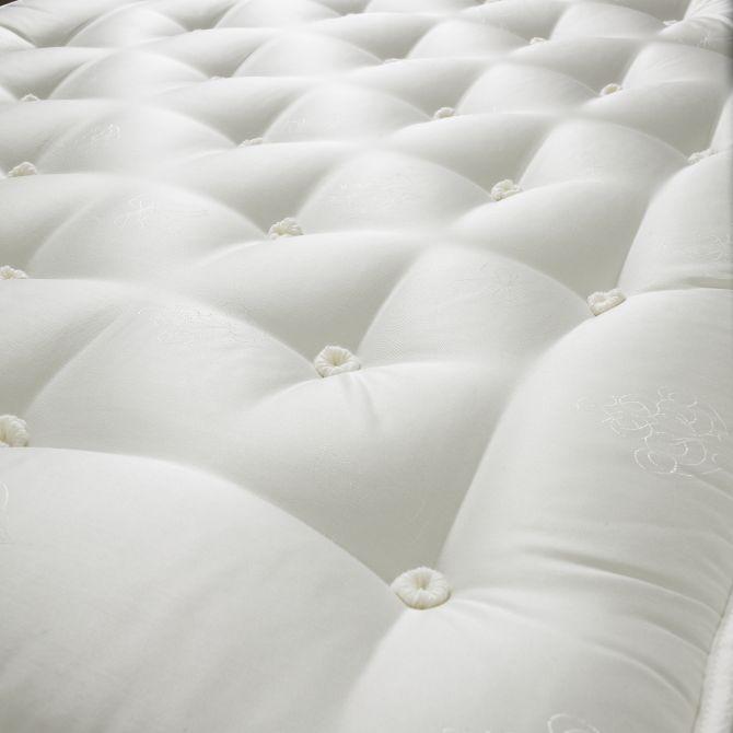 Nest Natural 2000